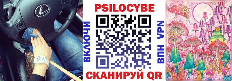 сколько стоит OMG маркетплейс Псилоцибиновые грибы MAGIC MUSHROOMS Динская