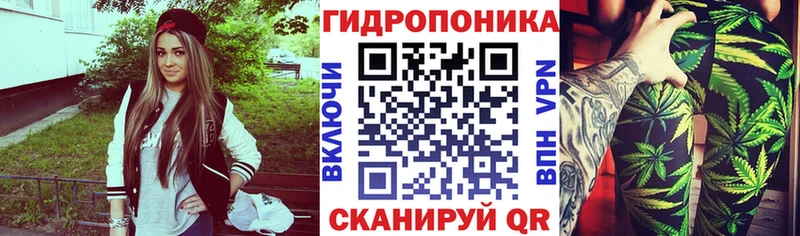 Бошки марихуана THC 21% Динская